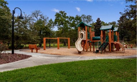 Playgrounds and School Disinfect